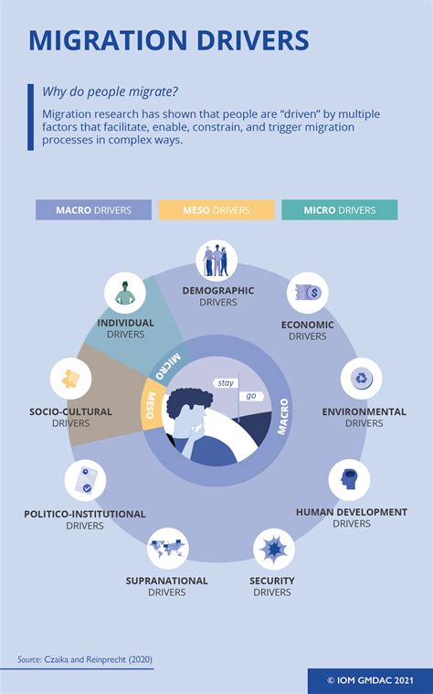 International studies key to migrate abroad .
